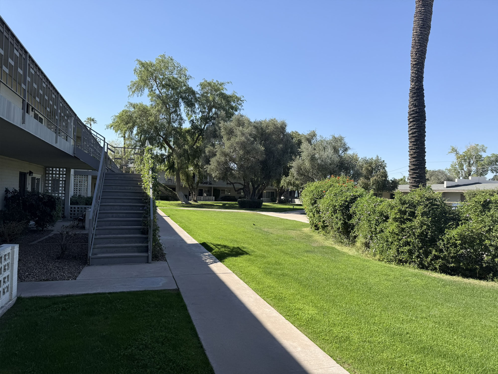 The Oasis Community