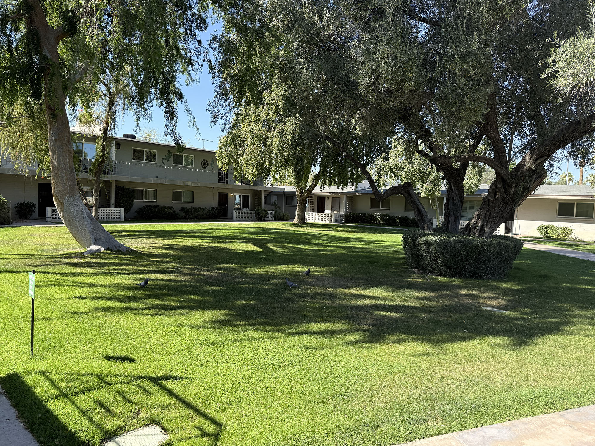 The Oasis Grounds